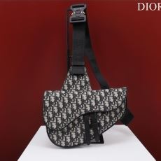 Christian Dior Saddle Bags